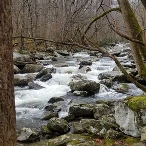 Meet your Posher, James mand nina